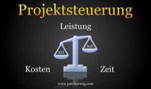 Projektsteuerung